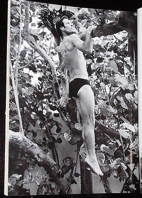 BRUCE WEBER 写真集 Bruce Weber ブルース・ウェーバー写真集 | 本まるさんかくしかく
