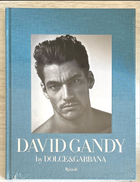 DAVID GANDY Dolce Gabbana Peter Howarth RIZZOLI HARDBACK Book NEW Sealed - magazinecult