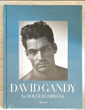 DAVID GANDY Dolce Gabbana Peter Howarth RIZZOLI HARDBACK Book NEW Sealed - magazinecult