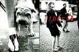 VOGUE Magazine Italia May 1996 ESTHER DE JONG Guinevere Van Seenus CAROLYN MURPHY