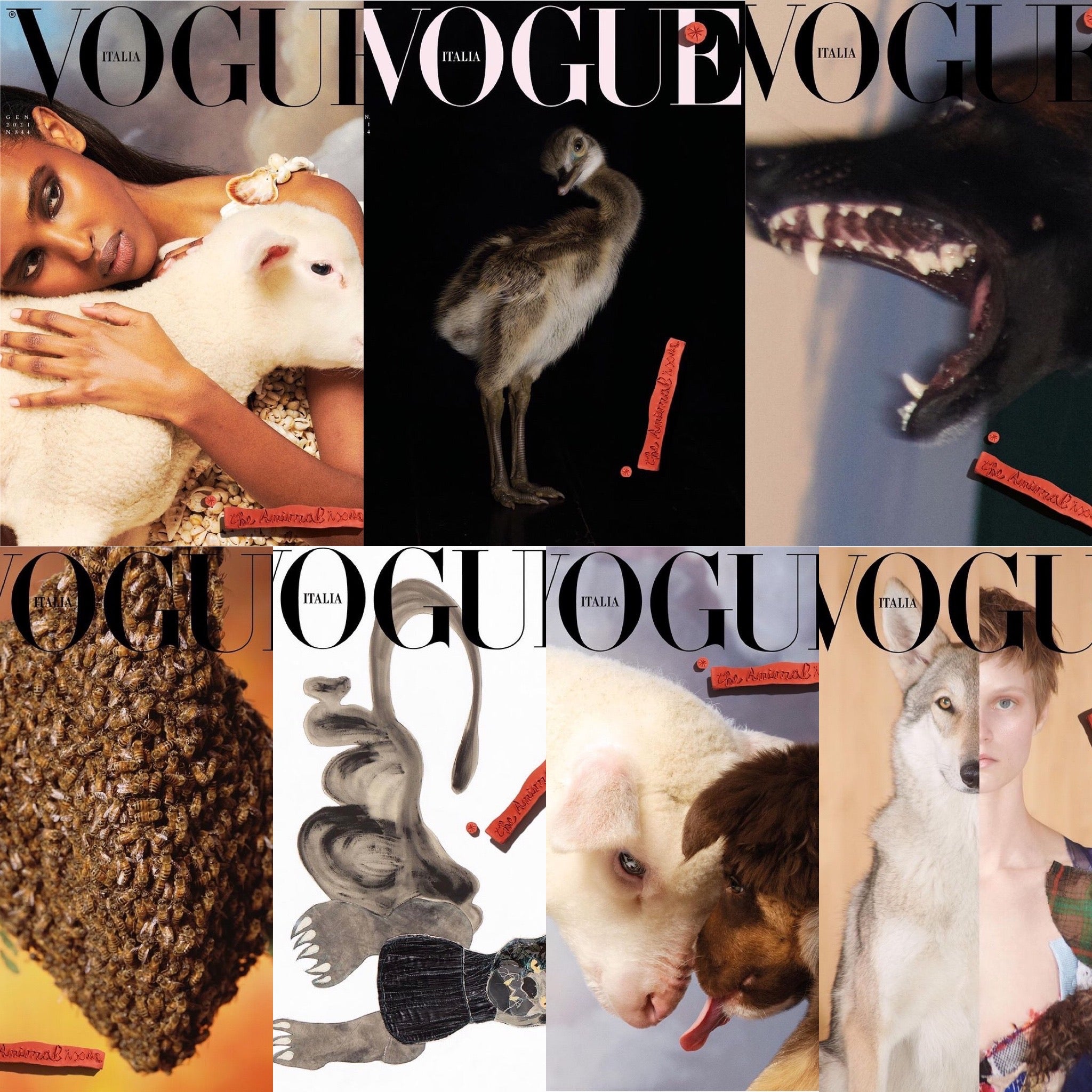VOGUE Italia Magazine January 2021 7 Covers Bundle The