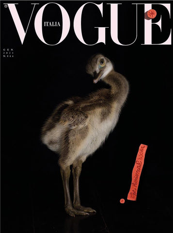 VOGUE Italia Magazine January 2021 7 Covers Bundle The ANIMAL Issue SE