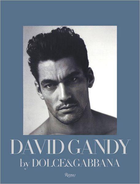 DAVID GANDY Dolce Gabbana Peter Howarth RIZZOLI HARDBACK Book